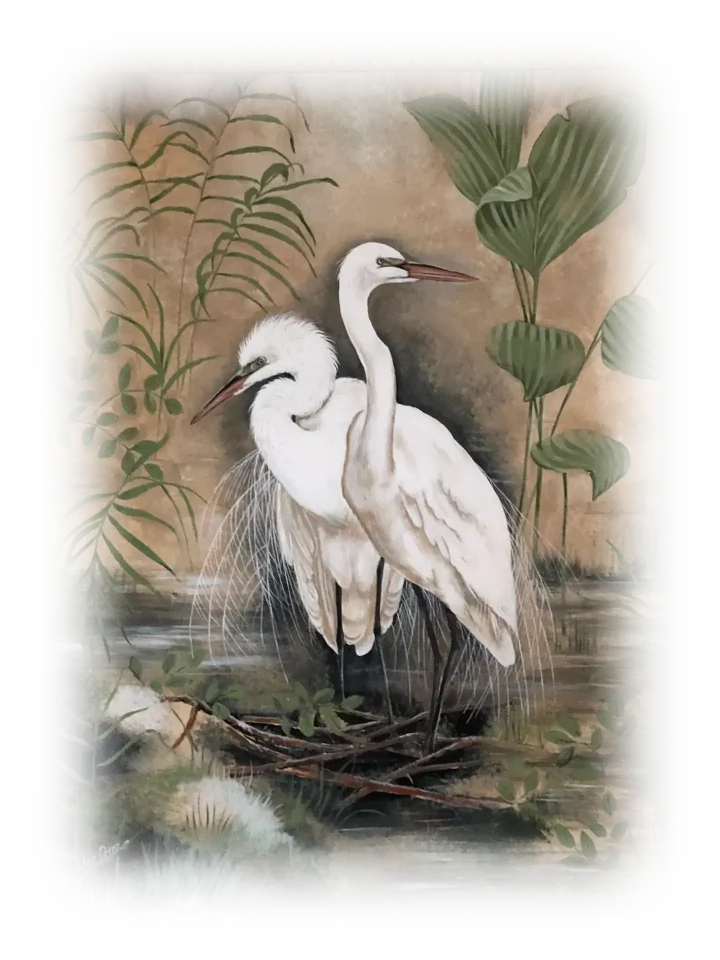 Two herons stand, as if posing, on some sticks at the shore of a lake or swamp. One has its head erect and looks to the right. The other looks downward and to the left, its head-feathers ruffled. Around them are various plants and a foggy golden background.