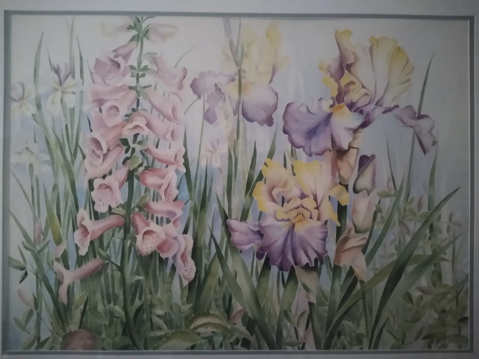 Orchids of gentle purple, pnk and yellow colors, fading into a foggy, white background.